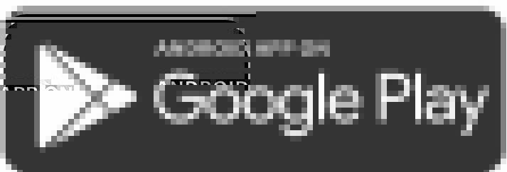 Goolge Play App icon